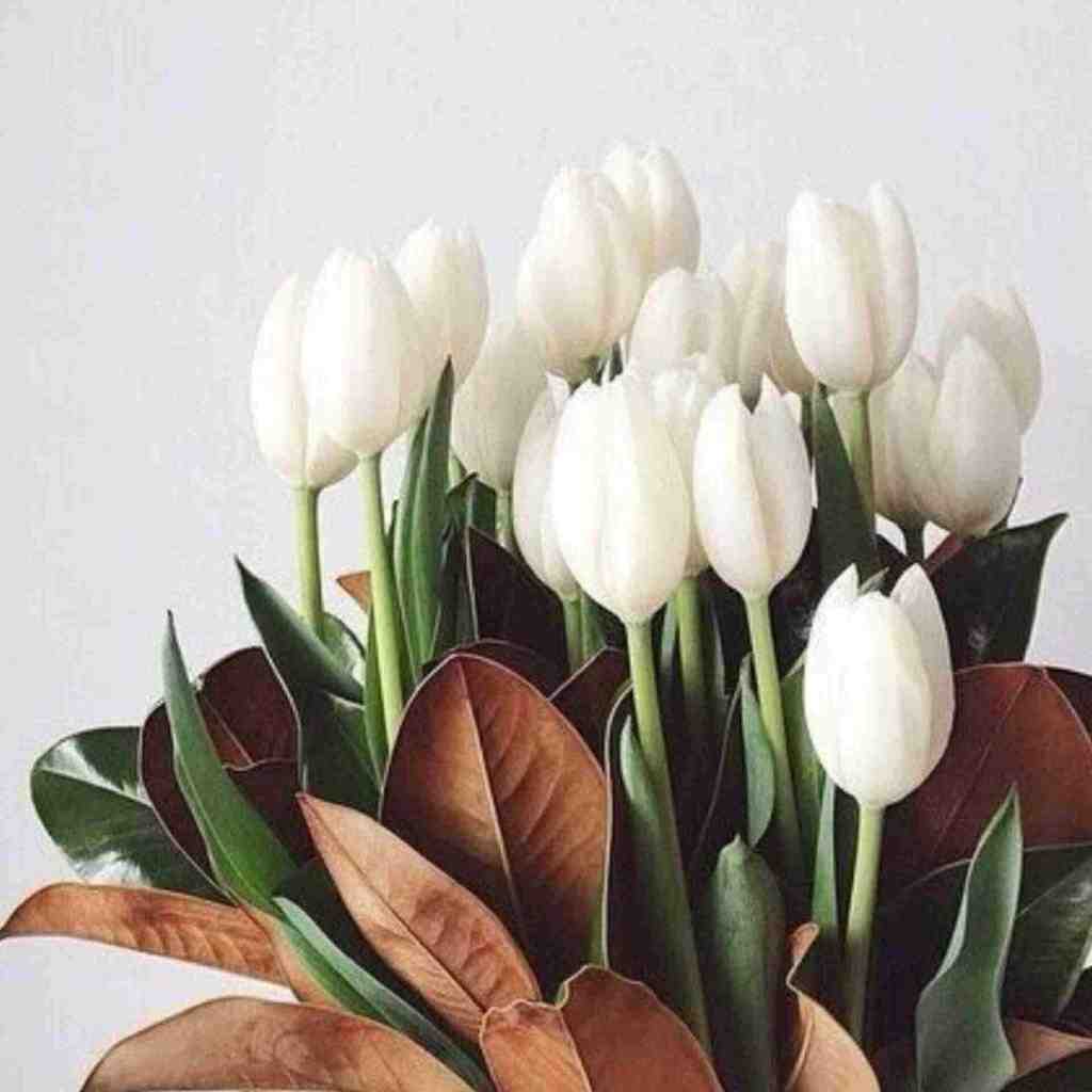  عشق پولی نیست (ورژن فارسی) با صدای دختر