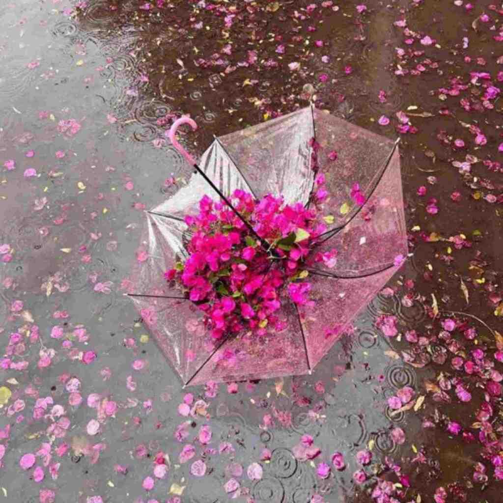  میبینم صورتمو تو آینه با لبی خسته