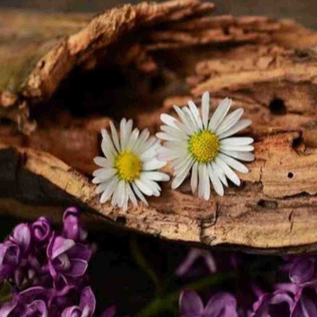  زمان میگیره یکی یکی قهرماناتو