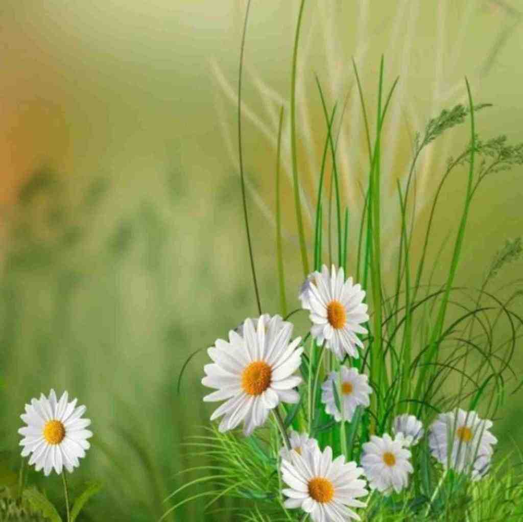  بگو چه قشنگه تنهایی قلبم از شیشه با صدای دختر