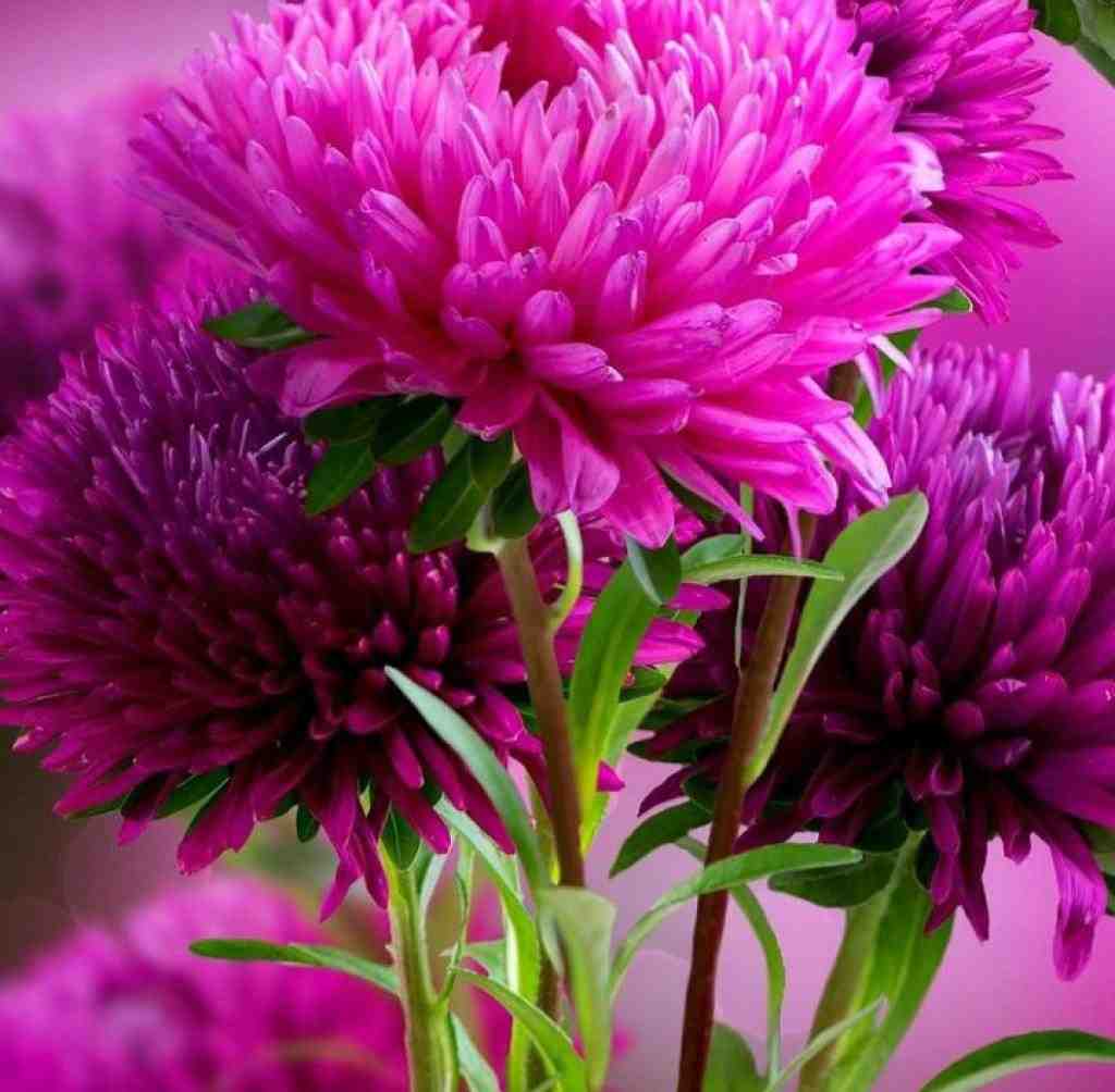  اصلا کی گفته چی درسته چی اشتباه با صدای دختر