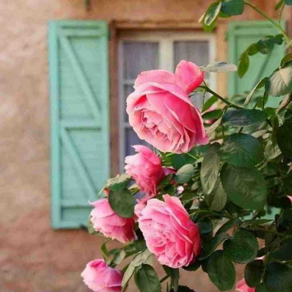  یک دو سه چهار پنج شش هفت هشت (ورژن کوچه بازاری)