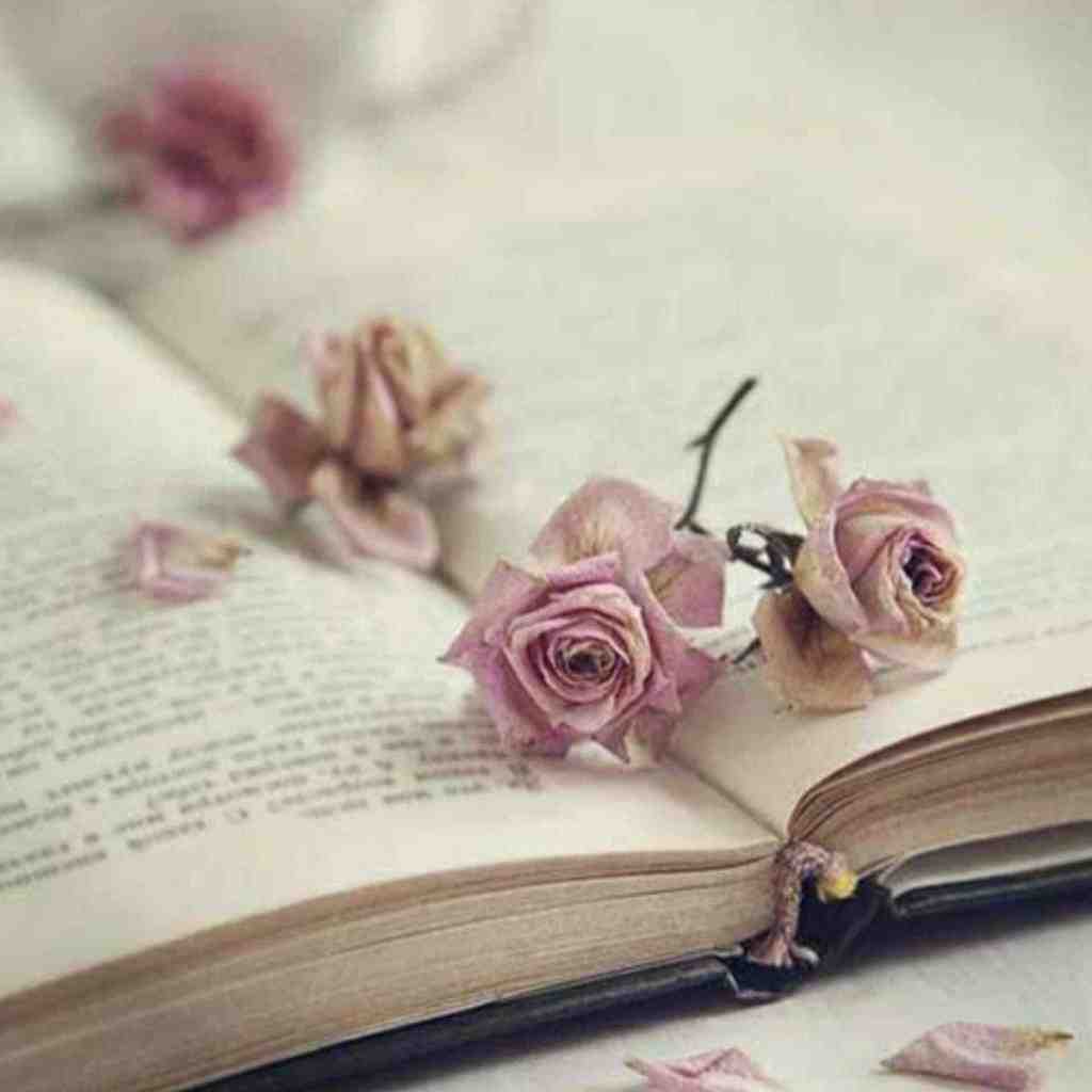  بین ما کلی خاطرس عکسا تو قاب عکس
