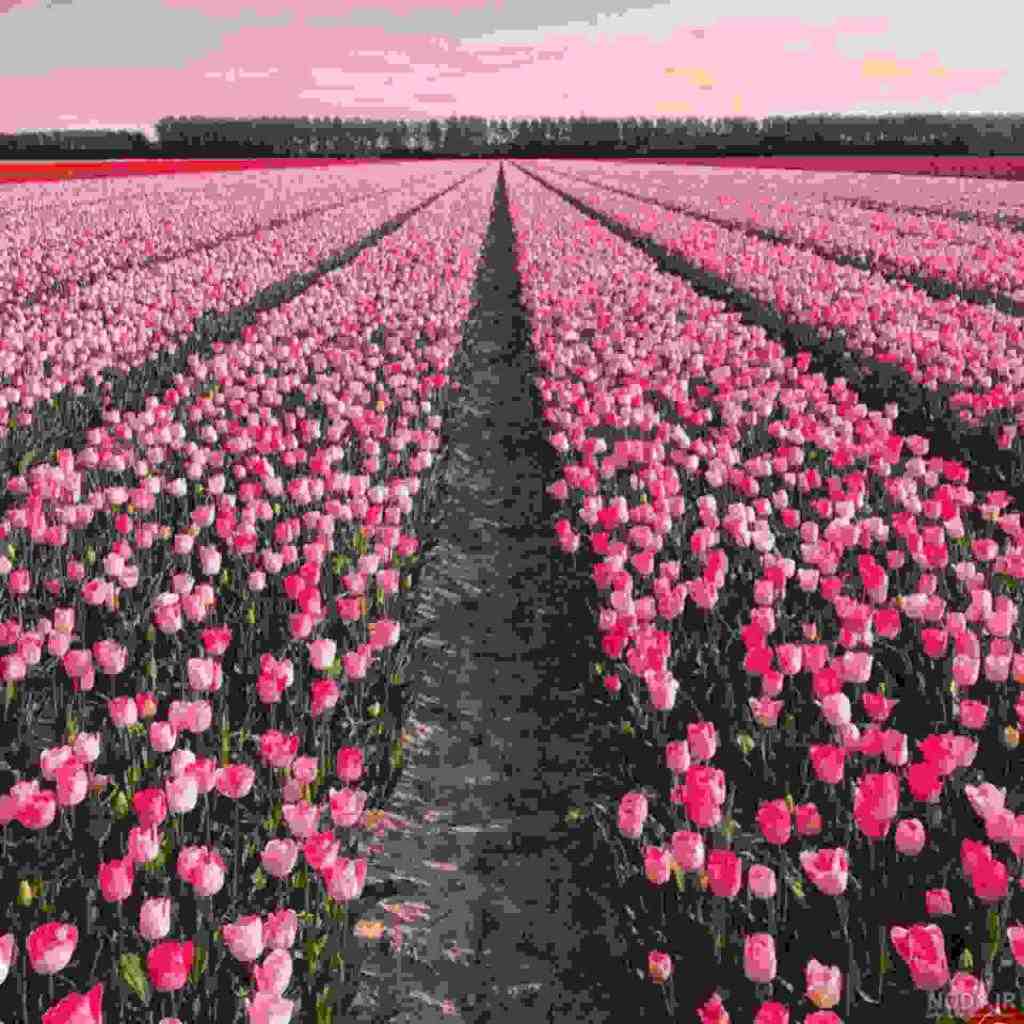  ترکی وقتی نیستی اگه این قلبو روشن کنم با صدای زن