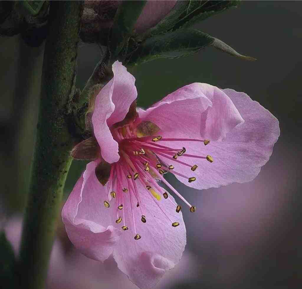  داره تاریک میشه دنیای من