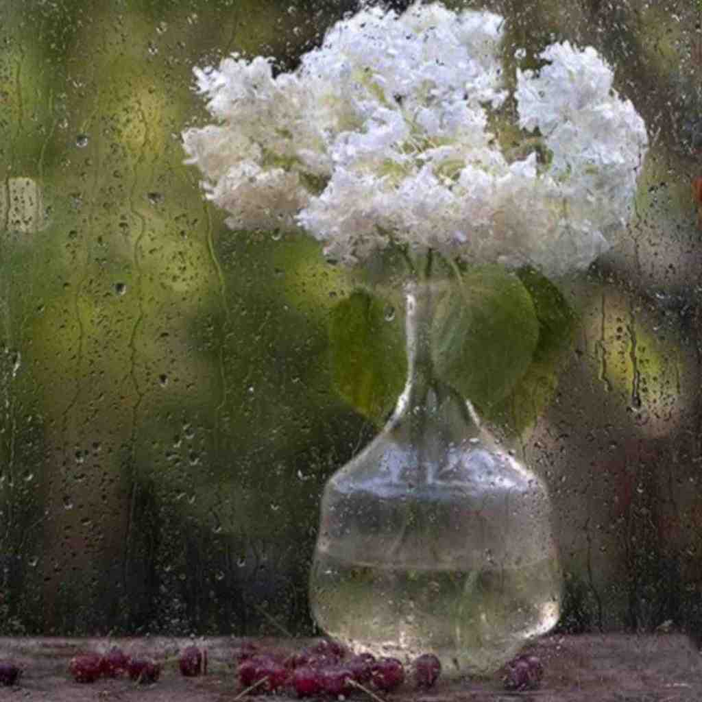 اشهد 4 ای کافی