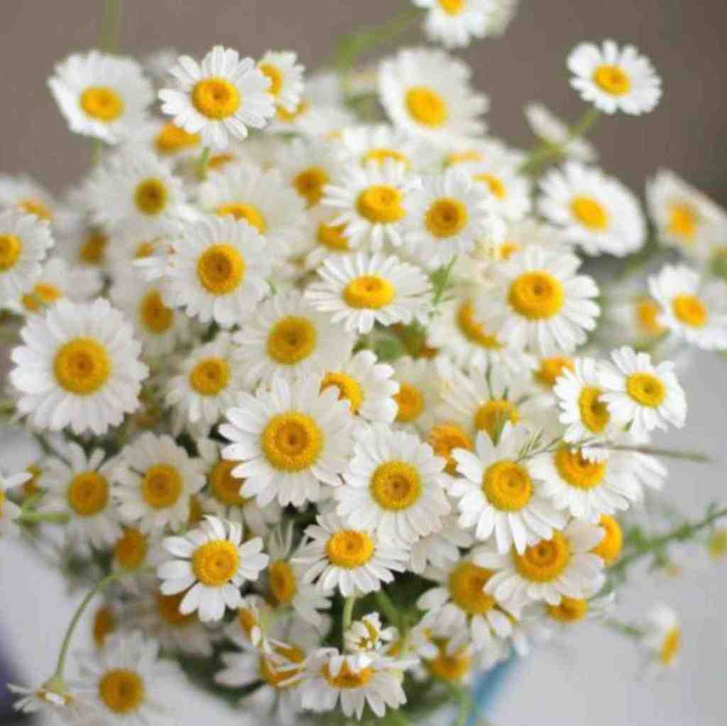  برو فقط منو بذار خونه نگاه هوا هوای بارونه