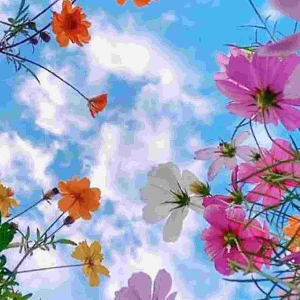  یار چند سالمو دادن به مردم با صدای دختر و پسر