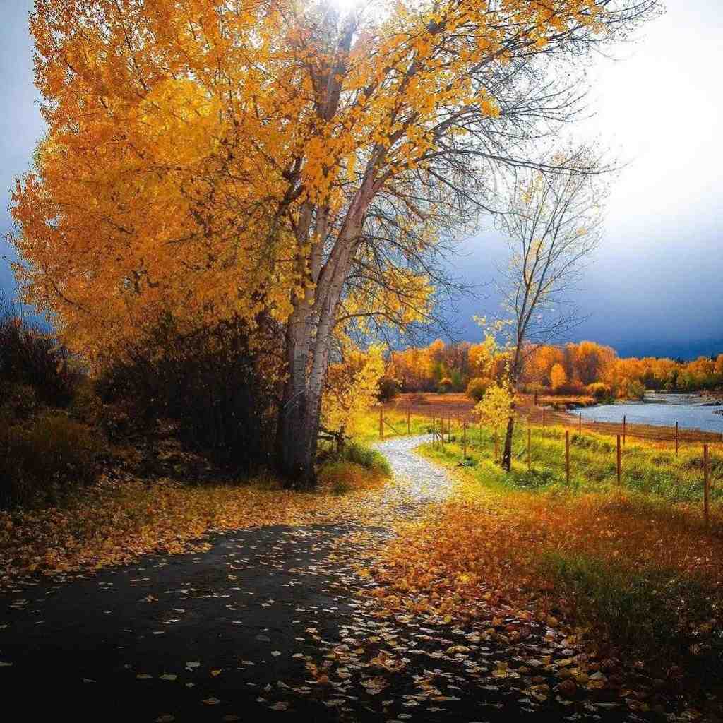  خارجی عزیزم حس میکنم ازم دوری بهم بگو کجایی