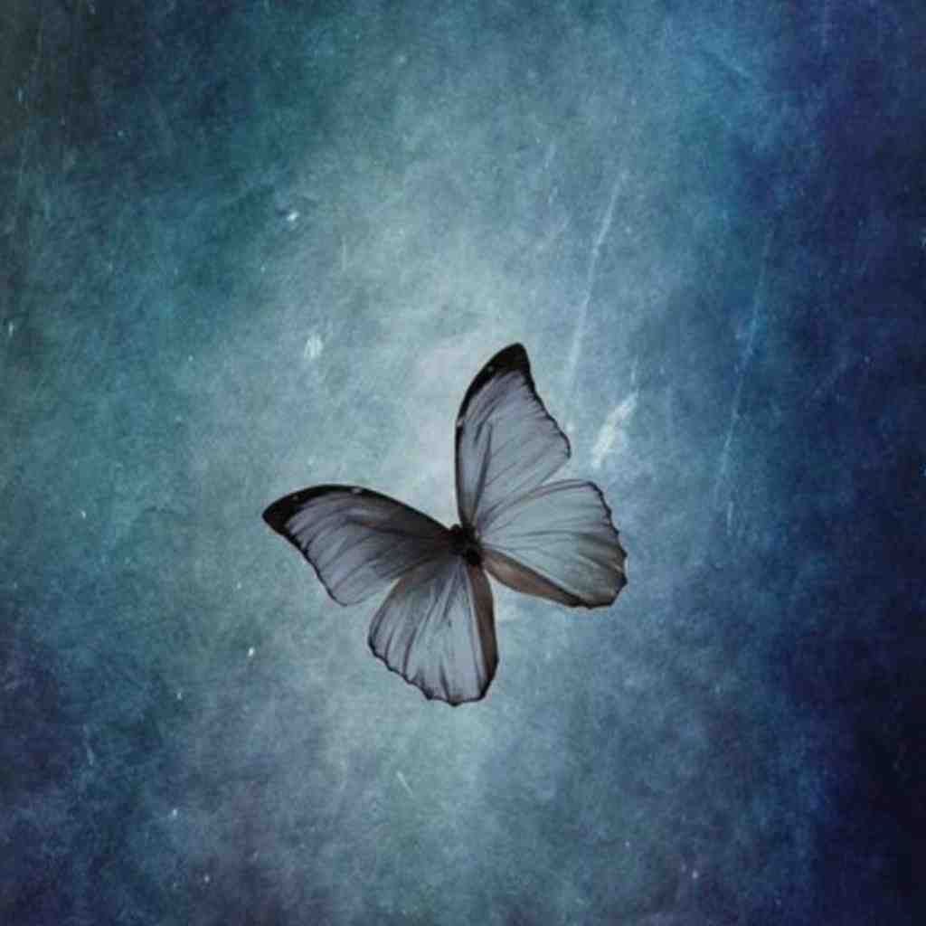  دوباره زندگیمو رپی کردم حالم از بقیه بهتره