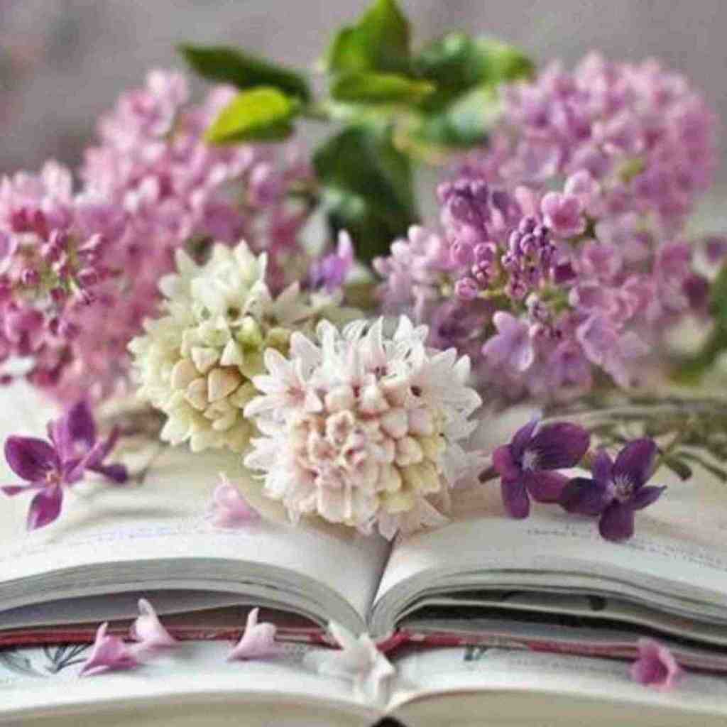  ترکی بهت گفتم دوسش نداشته باش با صدای دختر