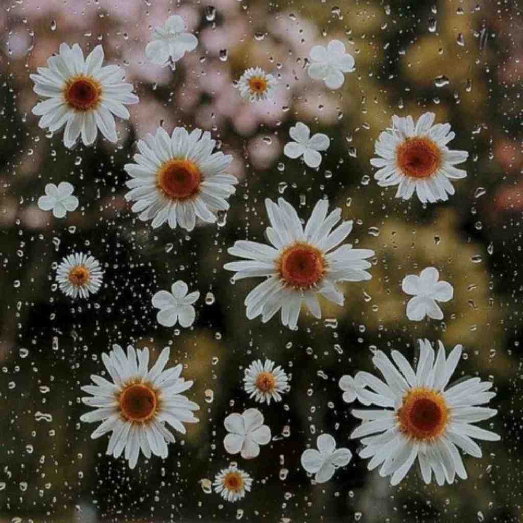  نوایی همه با وفایند تو گل بی وفایی با صدای دختر