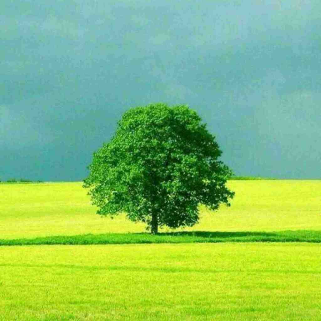  تا میاد ماچو میخواد بهترین جاشو میخواد با صدای زن