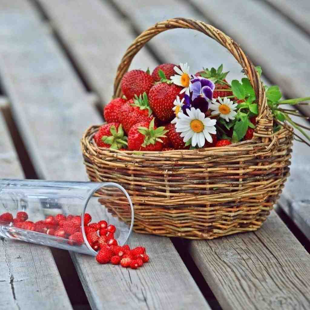  میزنیم دریا تو پایه باشی با صدای بچه
