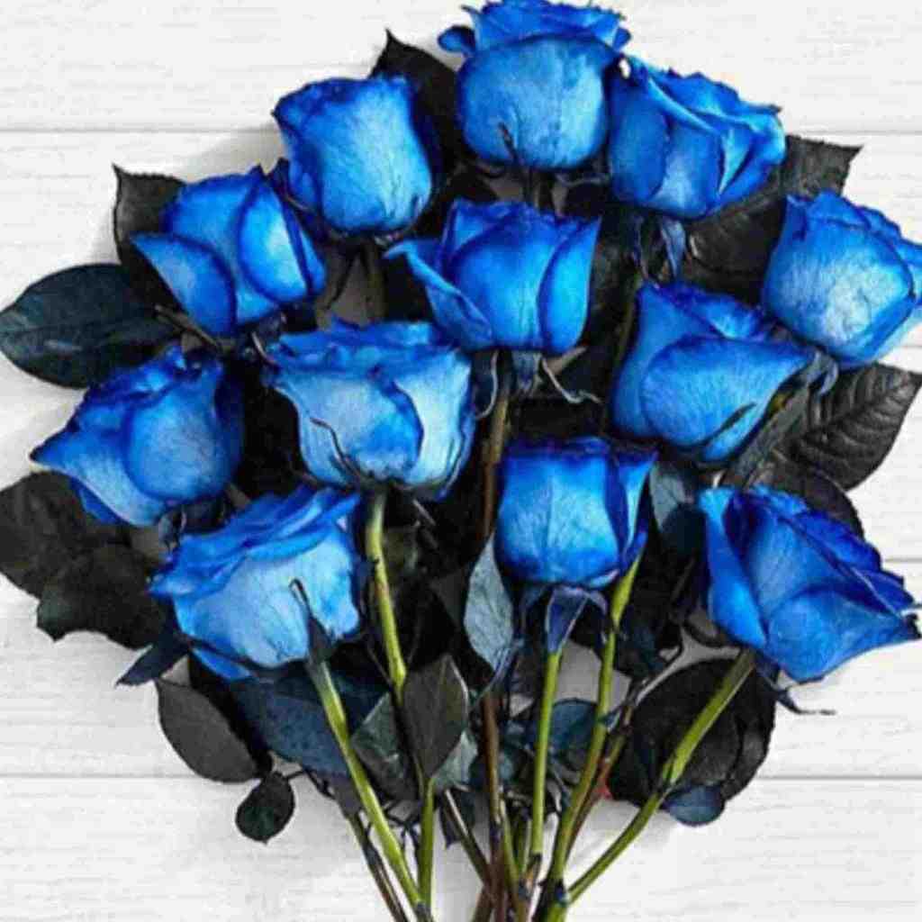  وای وای وای کل ممدعلی بله - اجرای گروهی