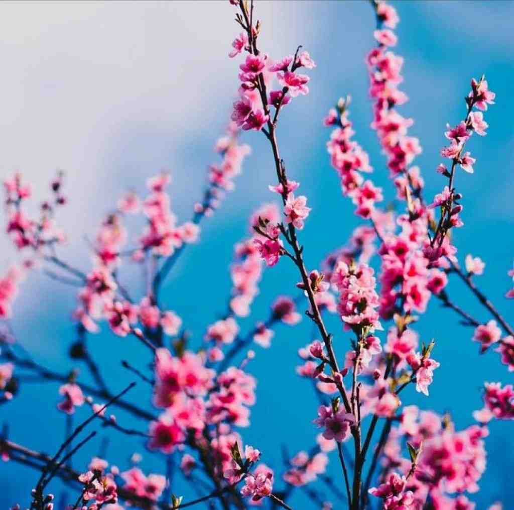  گور بابای زمان نمیخوام بفهمم الان دردام