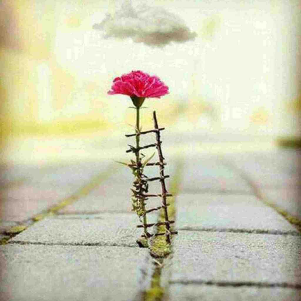  زحمت سنگ قور نکش من خیلی وقته مردم با صدای پسر بچه