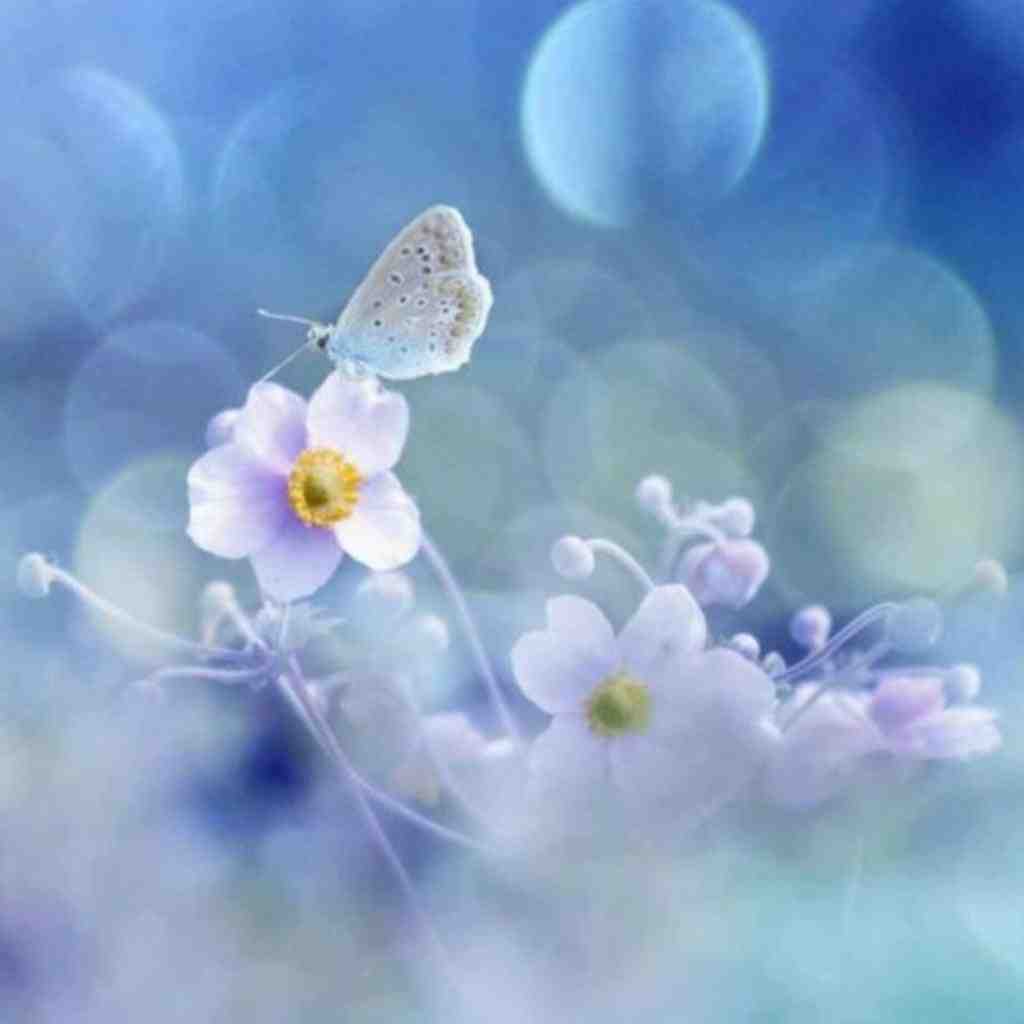  هله دان دان دان هلل یه دان برات میخونم با صدای زن