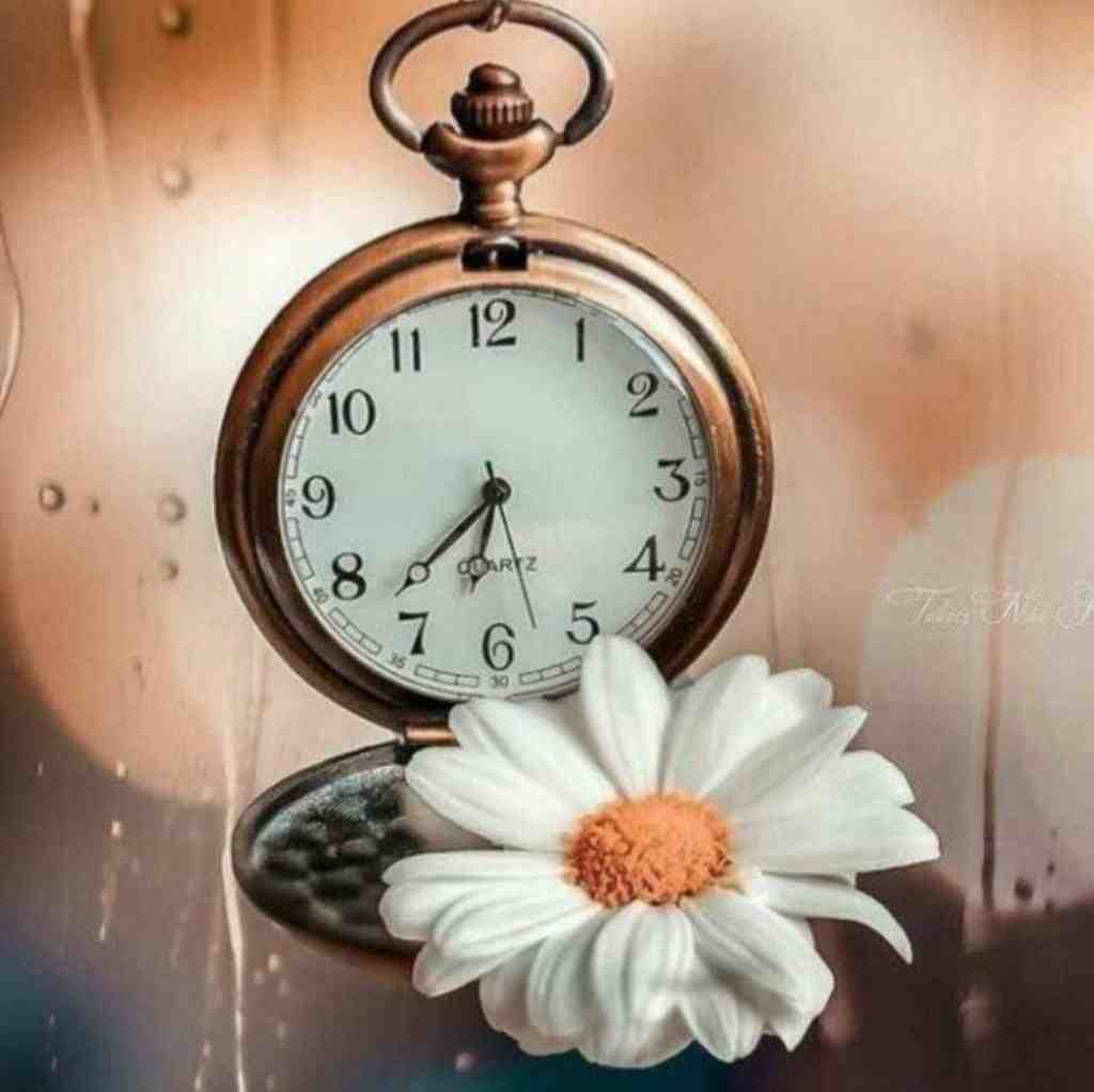  با کاراشون روانیت میکنن میپرسن چرا با صدای باب اسفنجی