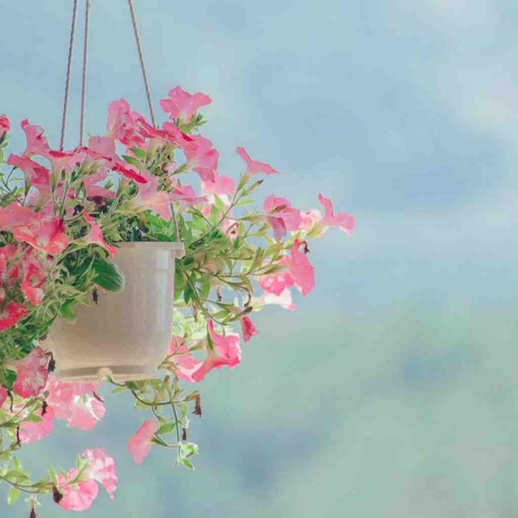  سرمو بازم زدم دیوار چشمام خون قلبم با صدای دختر