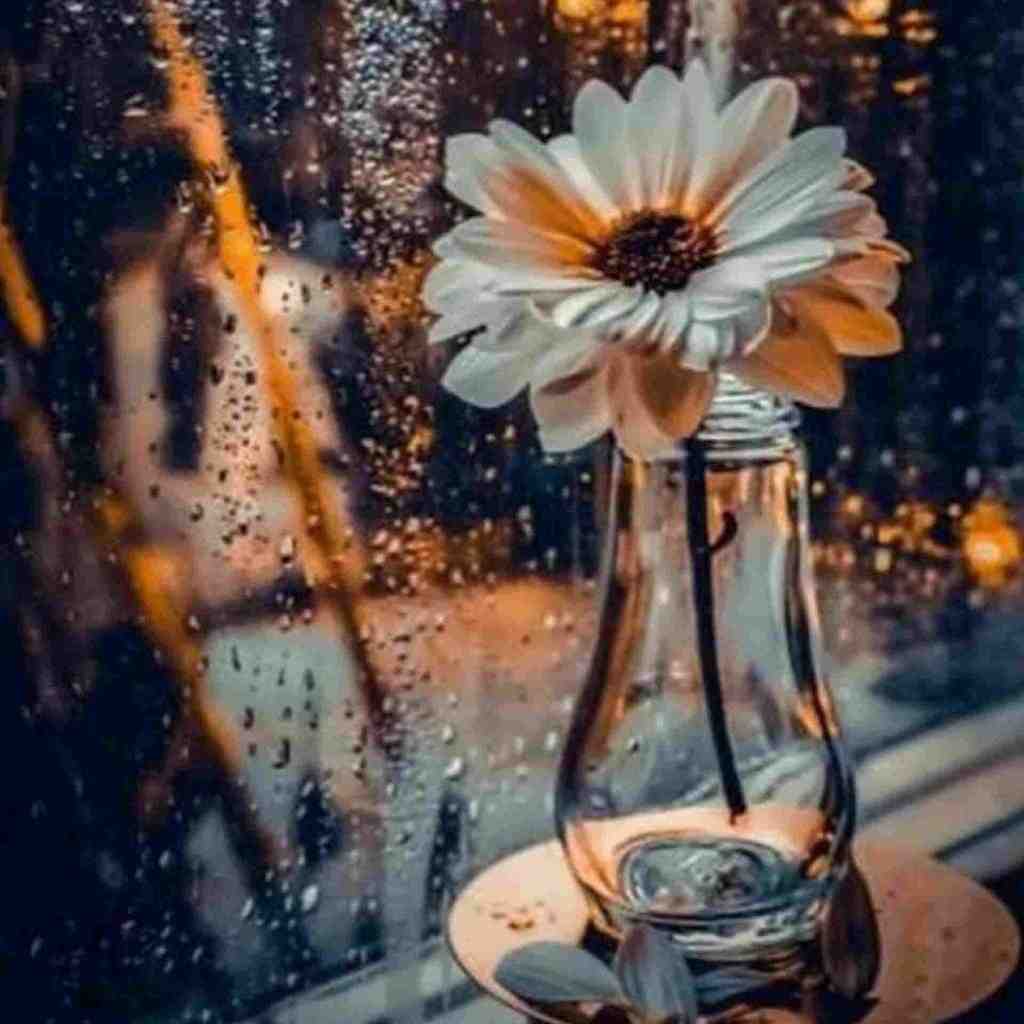  مستم کن امشب ساقی کجایی با صدای زن