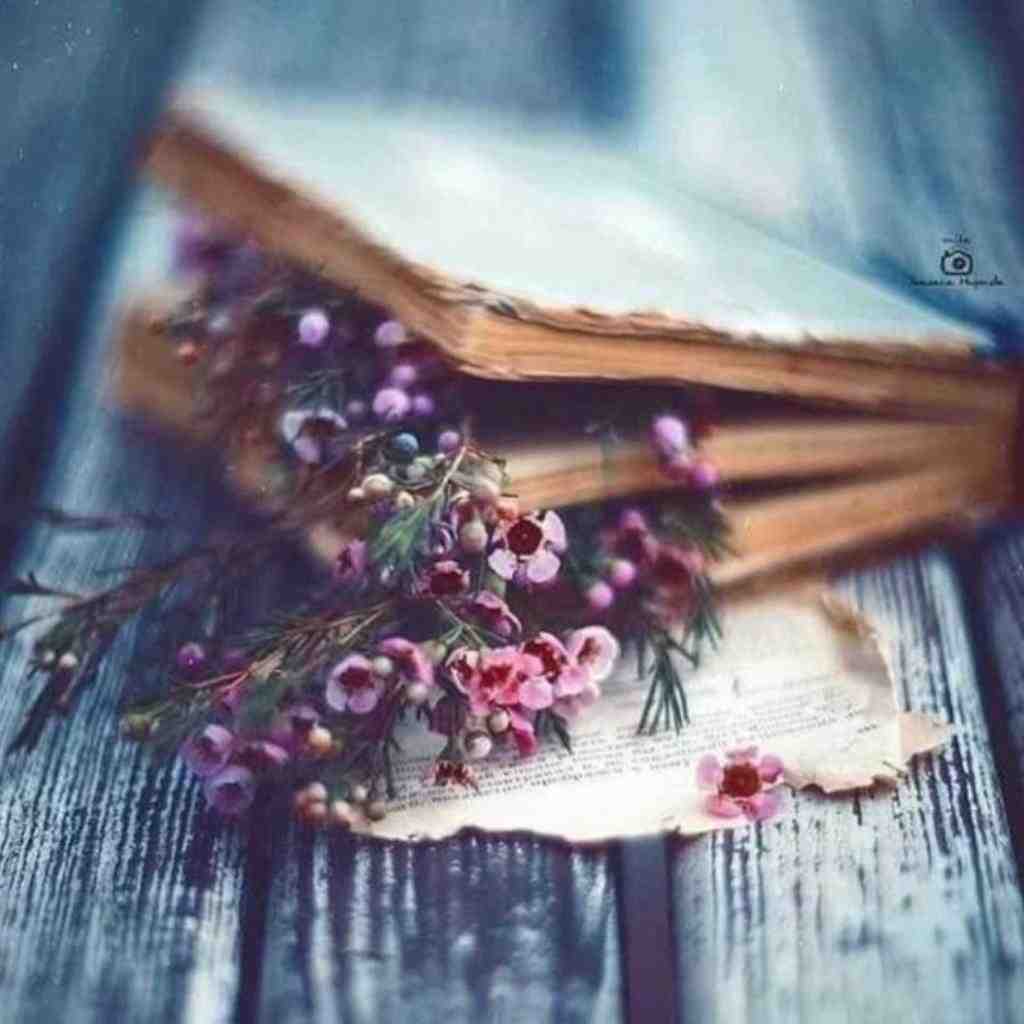  آروم نمیشه زخم قلبم تو بلایی یا که دردم با صدای دختر