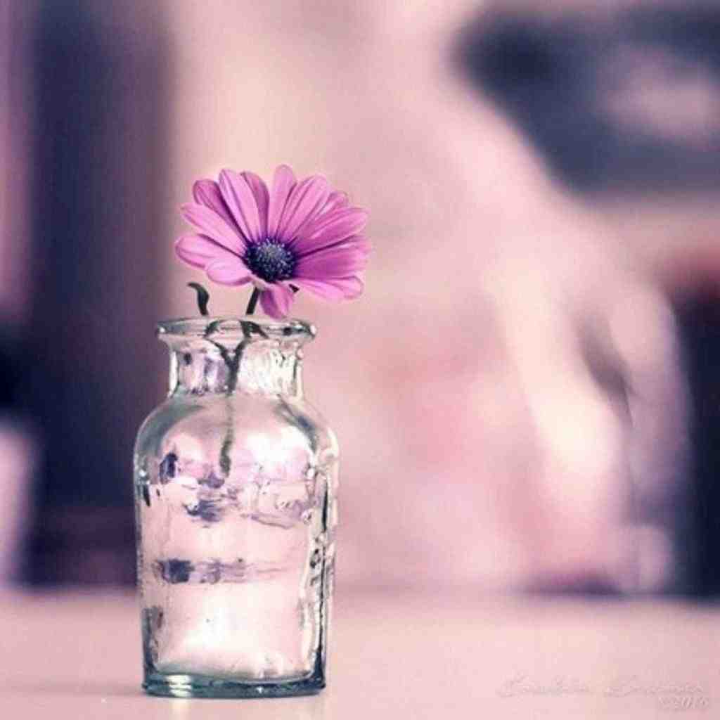  مشتری داشتم بازاروم عالی وقتشه کنوم کارتمه خالی