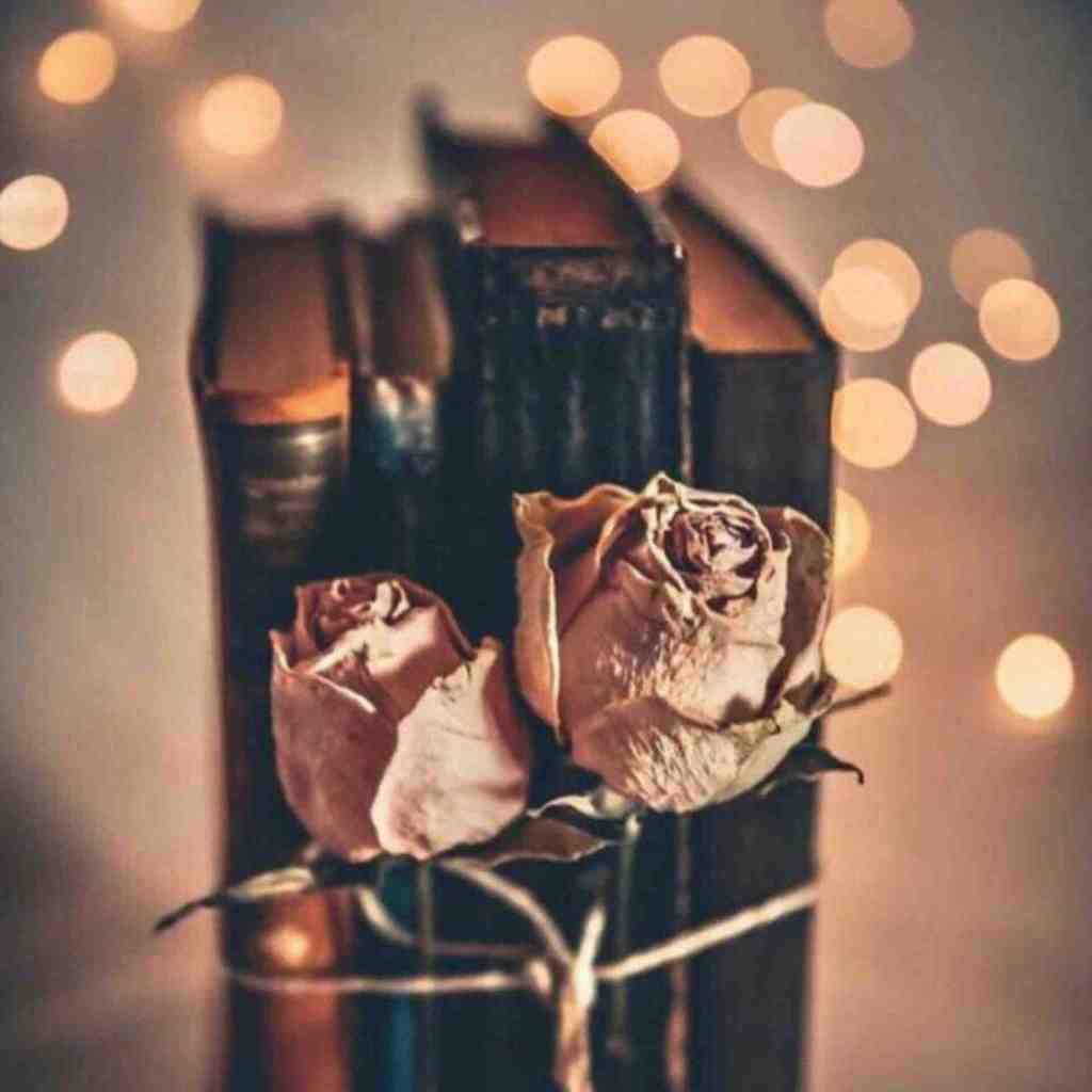  دیدی که صبح نیومد و هوای خونه شب شد