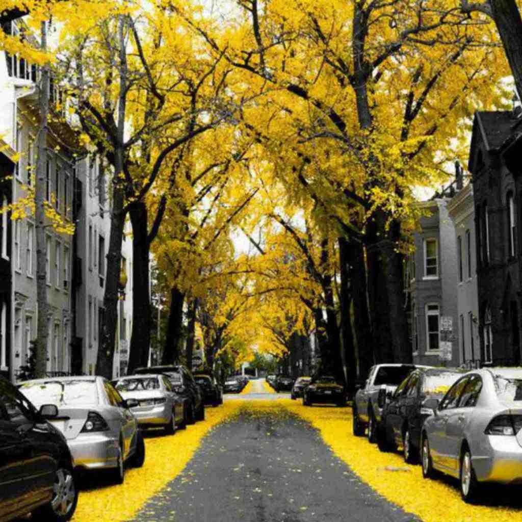  فکر کردم نمیخوای همشو کشیدم مونده یه سیگار بگیرش