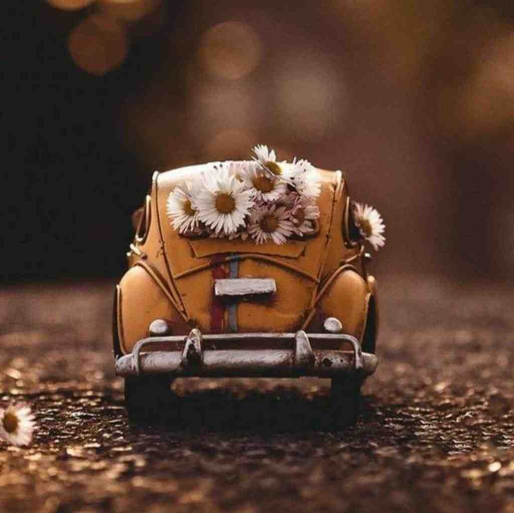  عروسک قشنگ من بیا برس