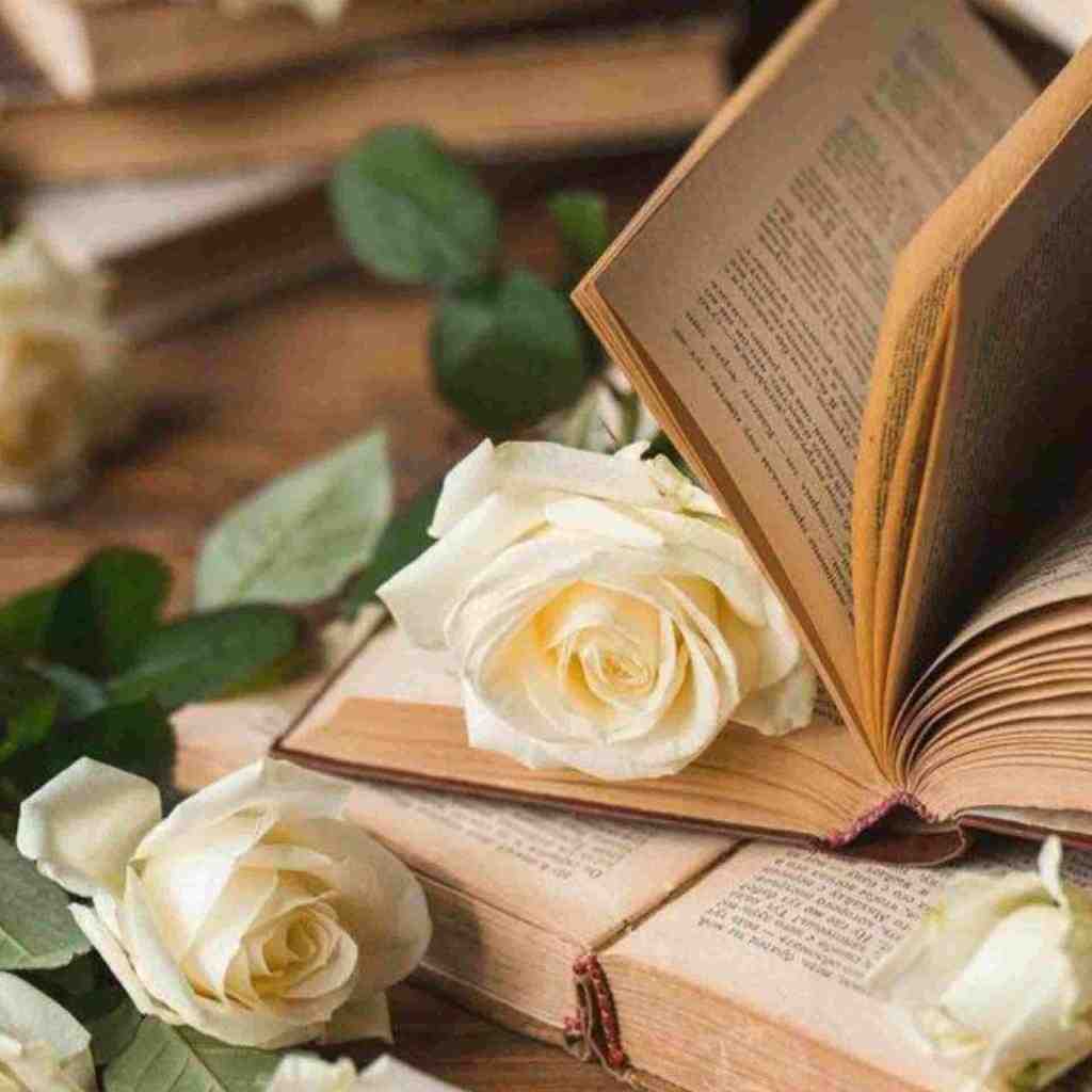  از سر تا پا نازه این قد و قواره