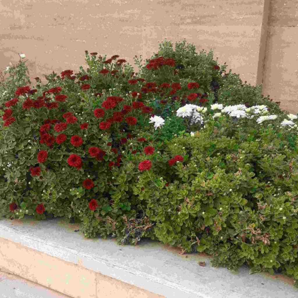  دینله بو شارکیم سانا دینله با رفیقام – ترکیبی