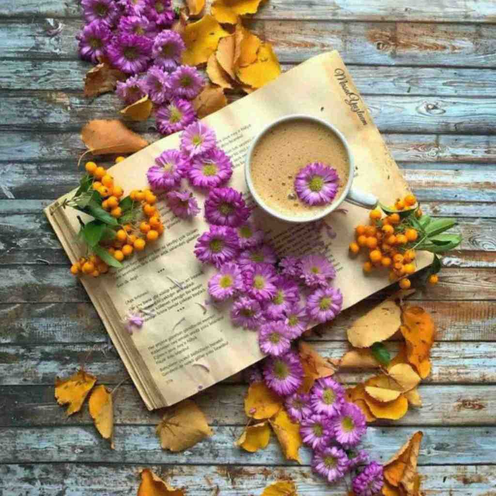  حتی اگه بمیرم هم فکرت نمیره از سرم زبونت میگه