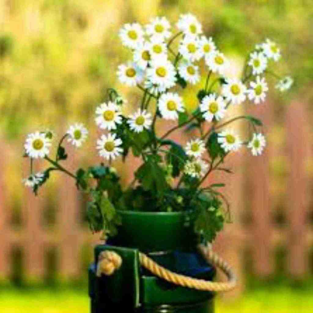  ترکی من سنی قلبیمه گیزلمیشم با صدای دختر