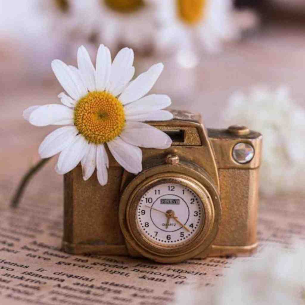  عطسه میکنم بم میگه مسریه میگم کوک زدم