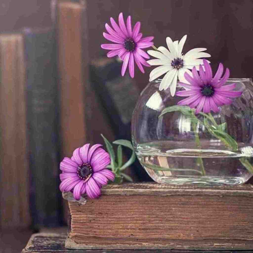  حالا میگن همه راست میگن همه