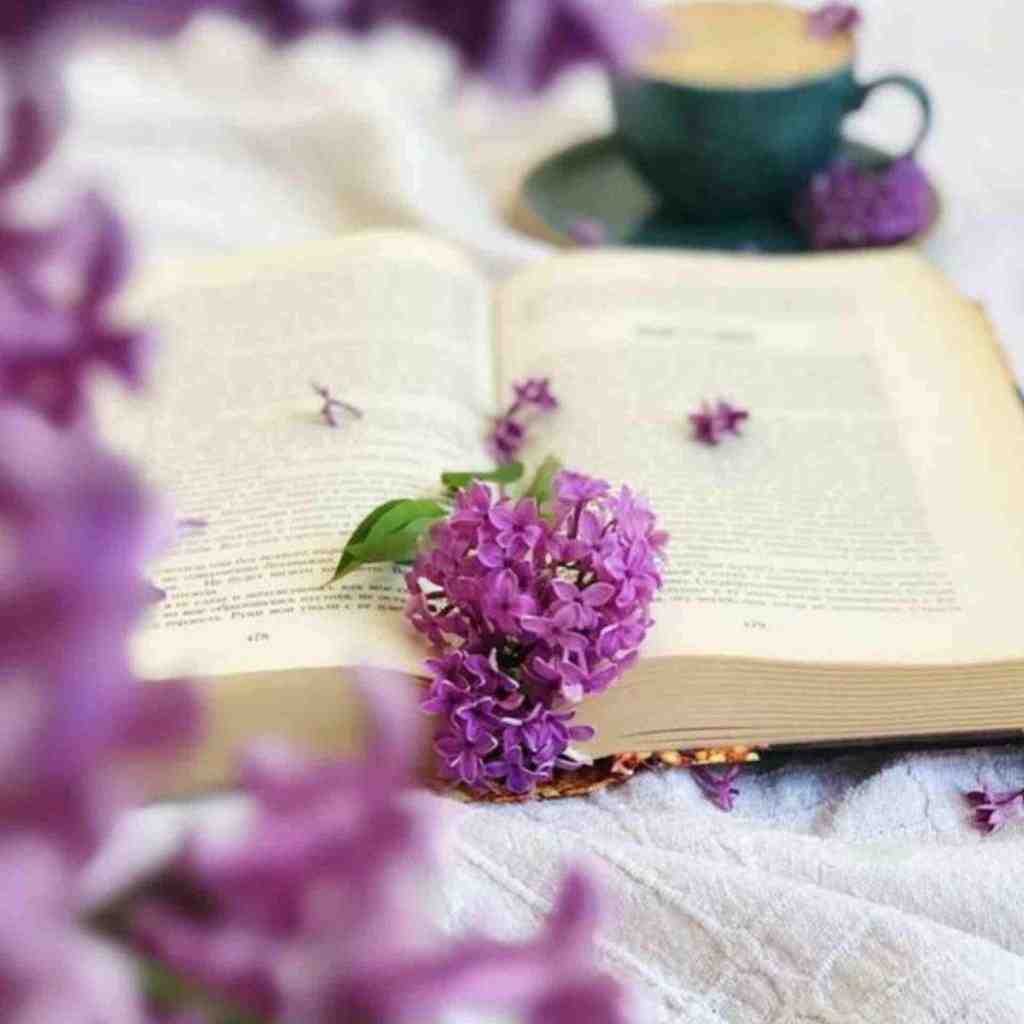  دای زری زری پاوردار بو بو بو بو – ترند اینستا
