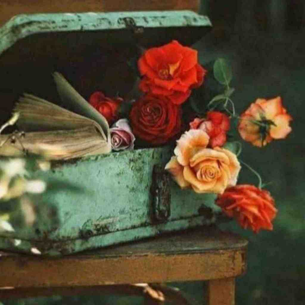  الف میگم ابروت کمونه ای کمون ابروی من