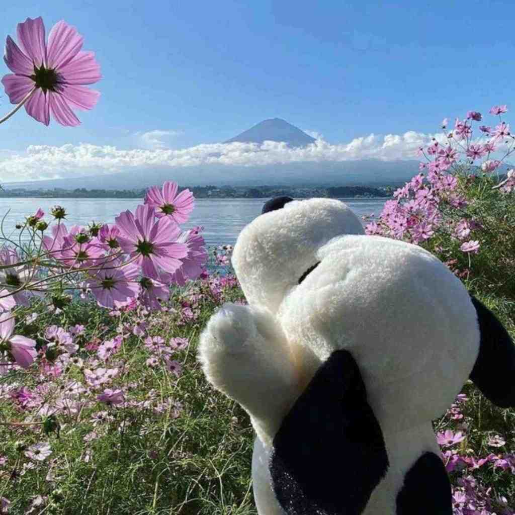  ﻟﻢ ﺑﺪه ﺑﺮام رو صندلی رو صندلی