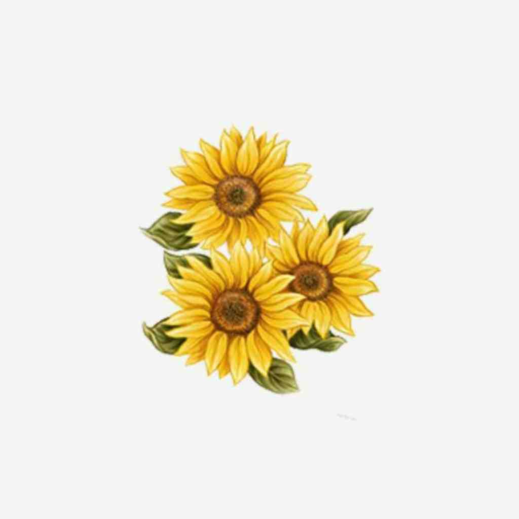  دلم از این شبا گرفته تورو از من چرا گرفته