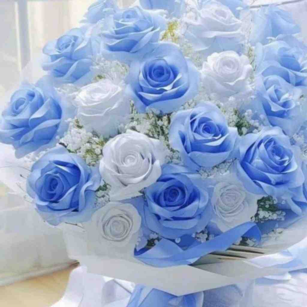 عاشقی هرکی هرکیه کار نیه گل من با صدای دختر