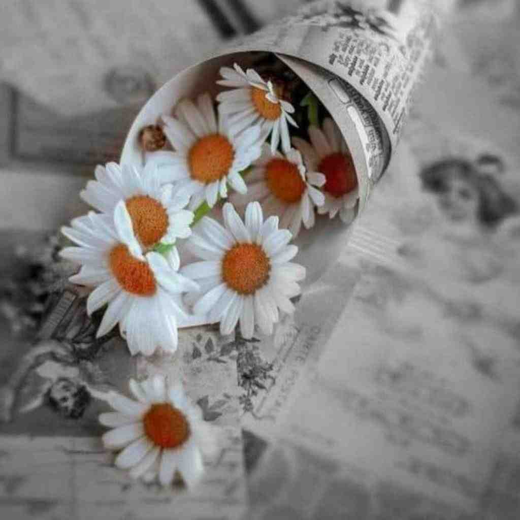  ساختیم رو هم هزار جرقه با خراش