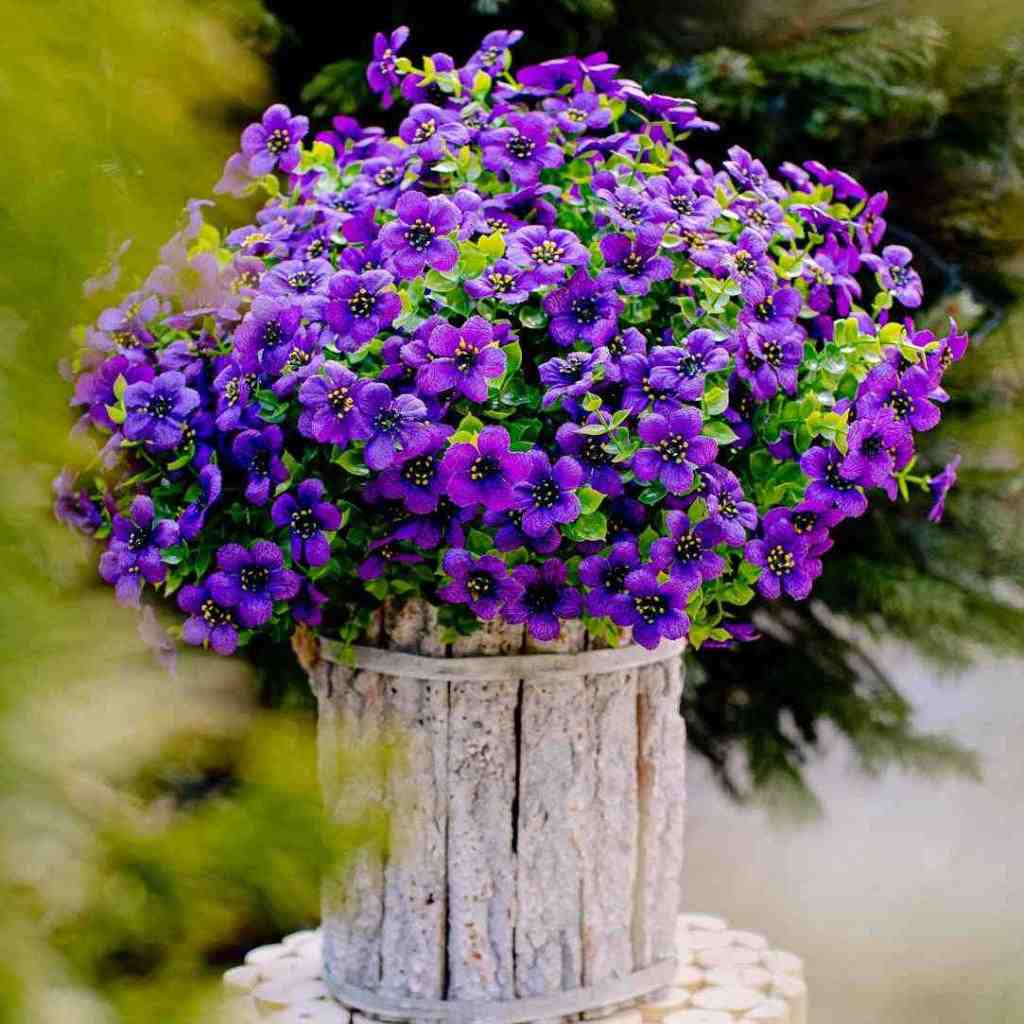 فاطمه مهلبان خزون