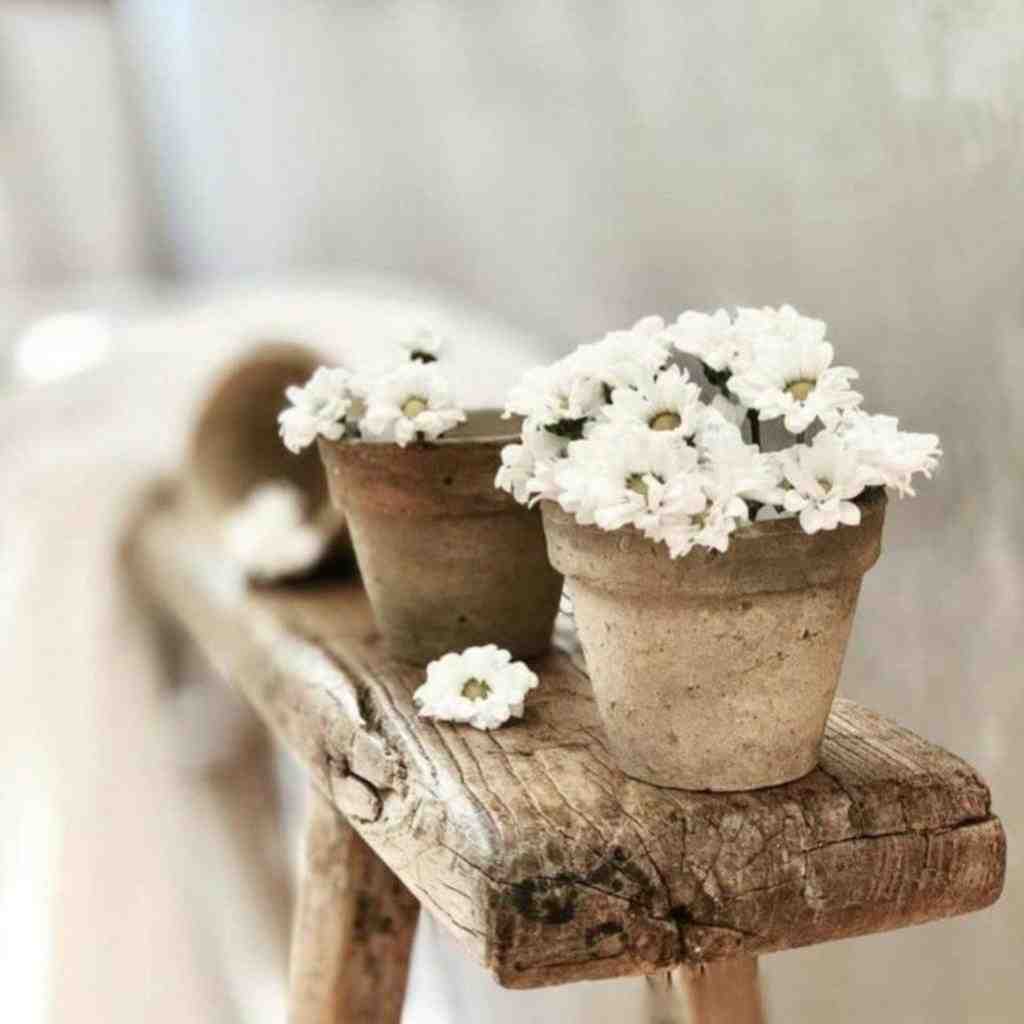  عشقو شادی زندگی آزادی میخوام با صدای دختر