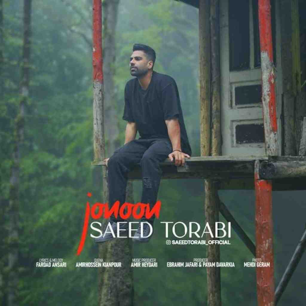 سعید ترابی جنون