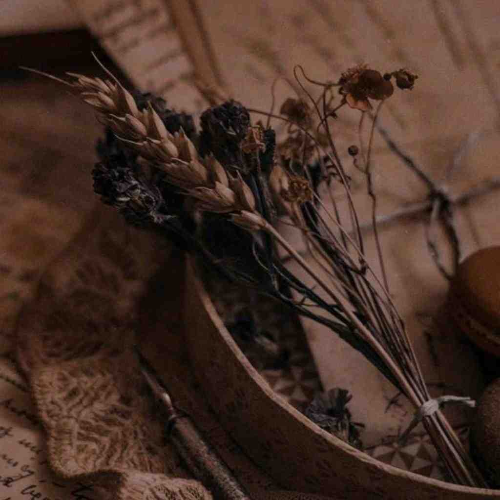  شیراز با کی مست دیدنت نیشانتاشی مست دیدنت