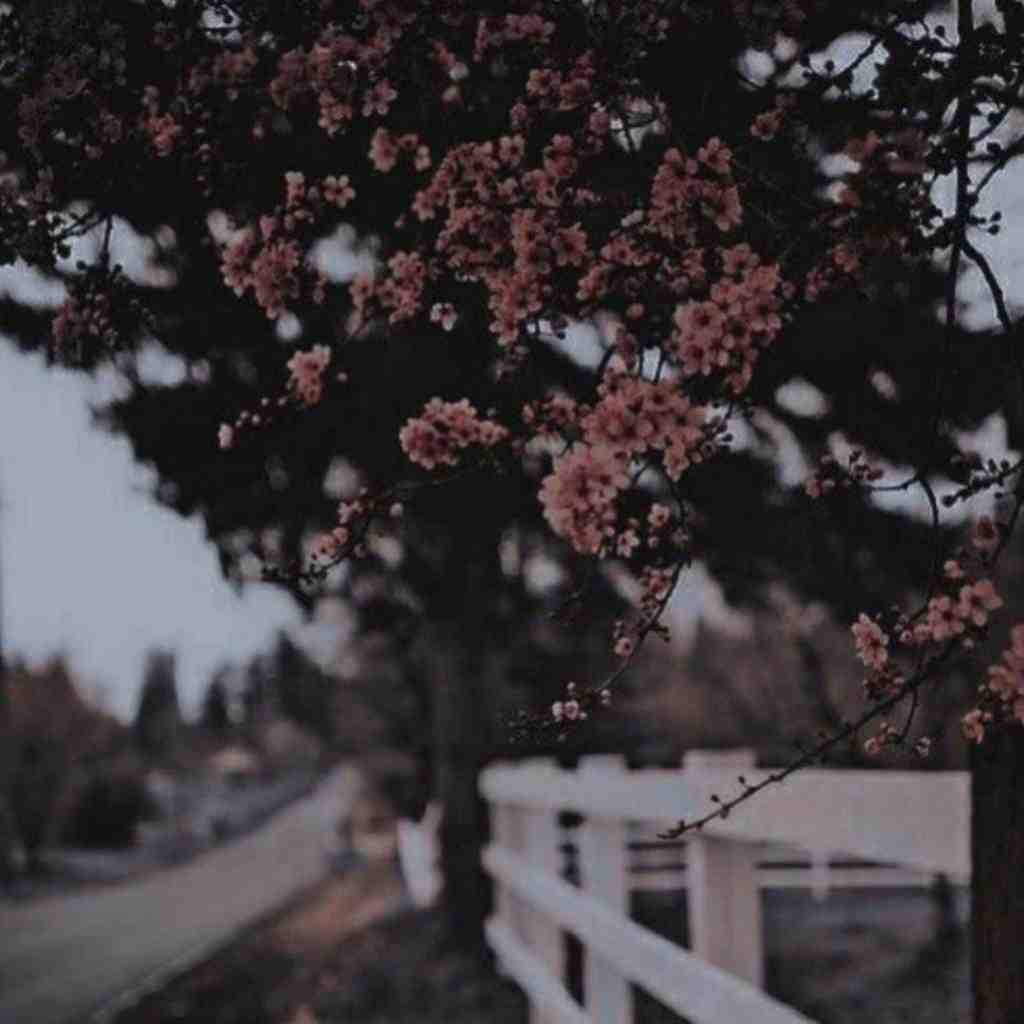  پسرا جدیدا فسن دخیا هم از دم
