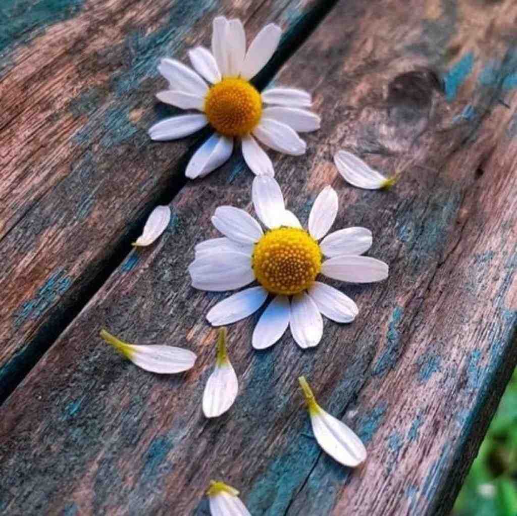  خونه آخرین پناه واسه ی خستگیهام – هوش مصنوعی