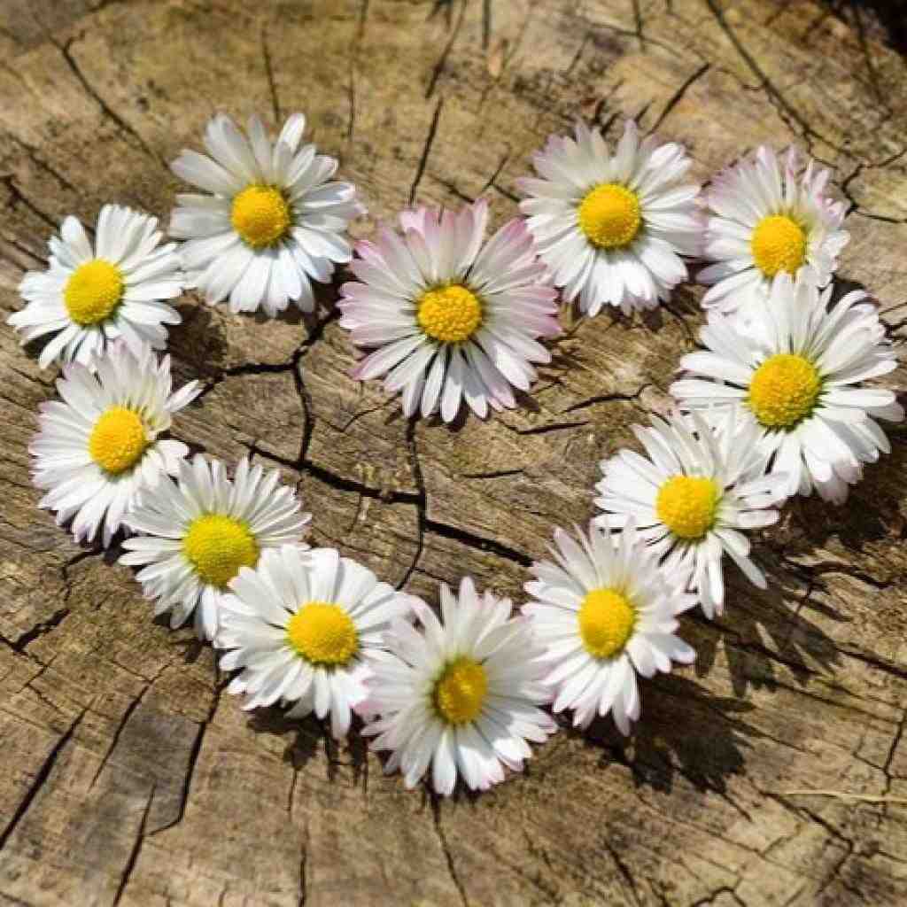  میاره دو تا پیک جلو روم و هی میگه سلام سلام