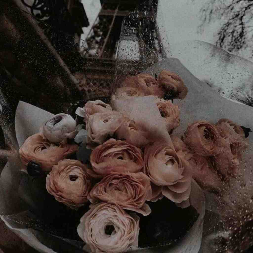  دیشب خواب تورا دیدم چه رویای پرشوری